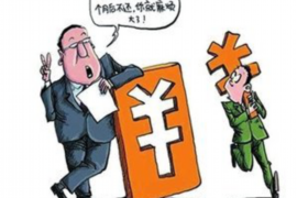 港南债务清欠服务